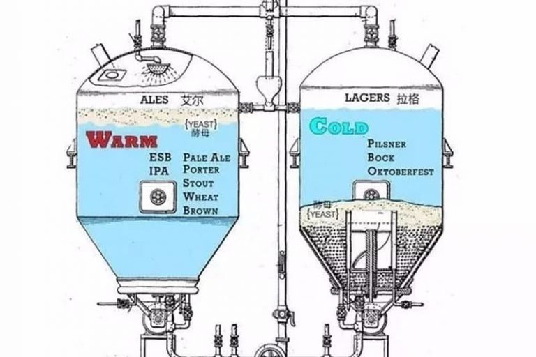 Processus de fermentation