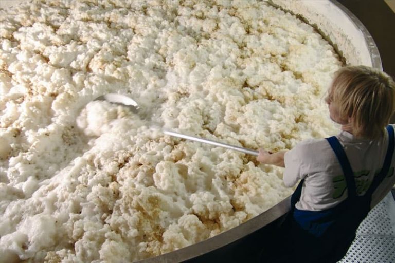 Fermentation