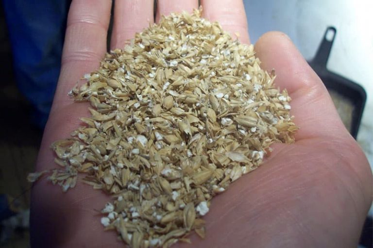 Malting and Milling