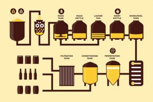 The beer brewing process