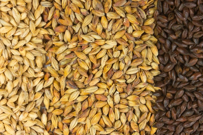 How many different types of malt are there in the production of