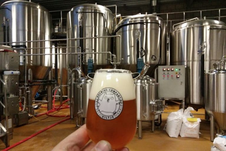 Beer Fermentation Five Challenges of Yeast Management Micet Craft