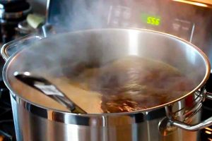 Understanding the wort boiling process