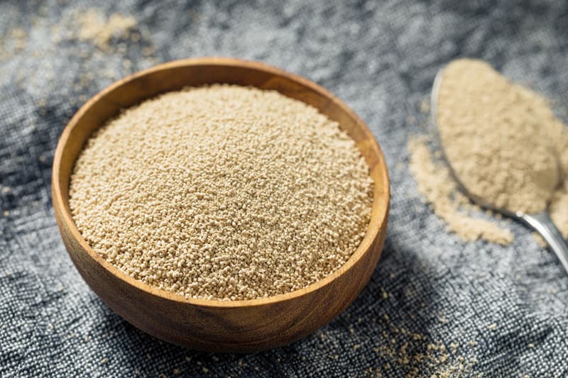 beer yeast