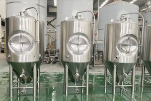 Fermenteur 5bbl