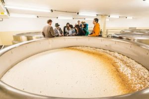 chronologie de fermentation