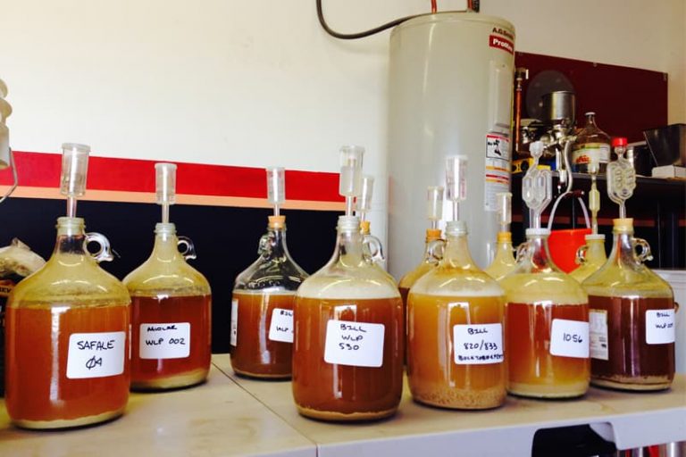 homebrewing beer