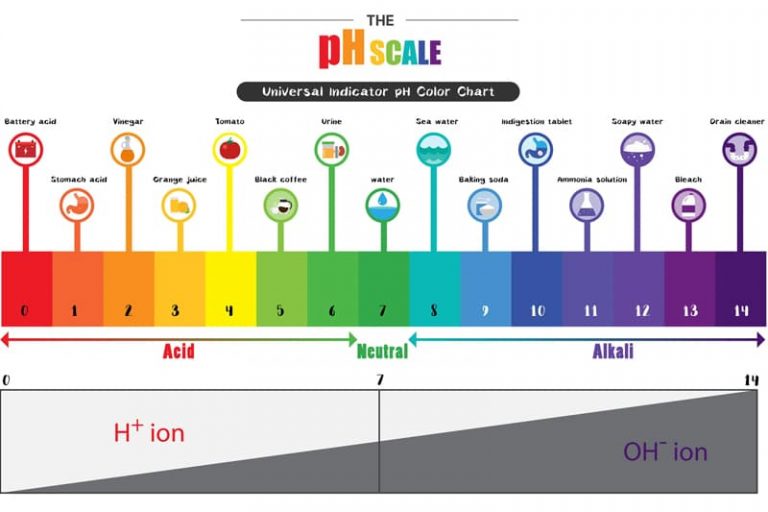 How does pH affect beer brewing