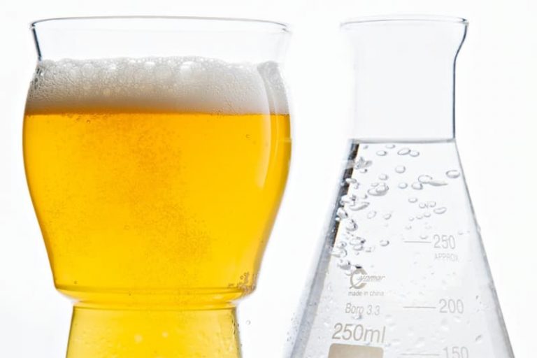 How does the brewing water affect the taste of beer