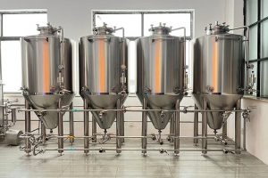 Fermenteur 600l