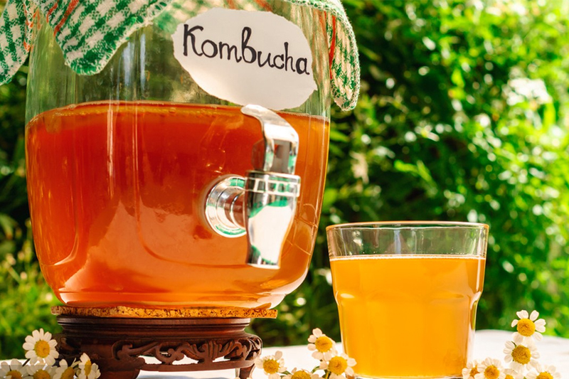 kombucha making process