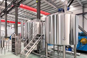 3000L 2 vessels brewhouse