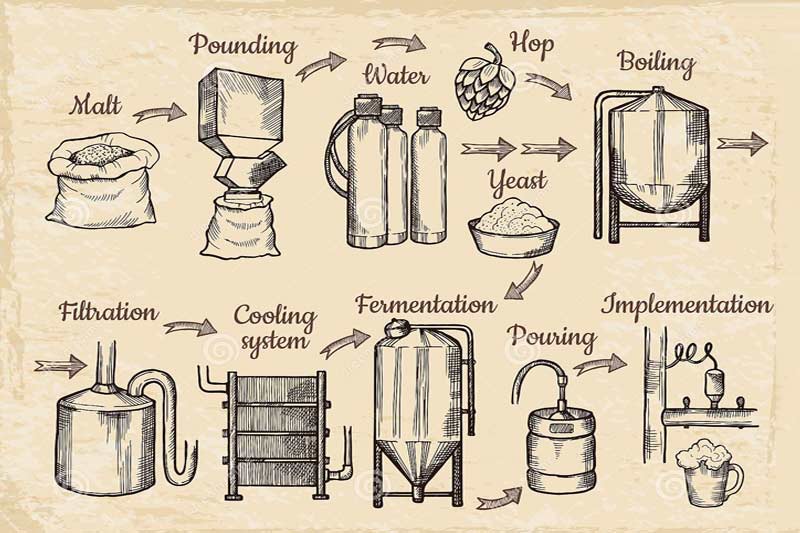 The Seven Steps of Brewing Beer