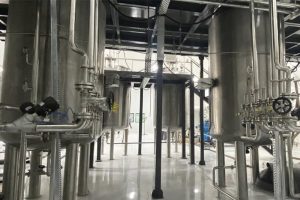 What is the function of the blowing pipe in the early stage of fermentation?