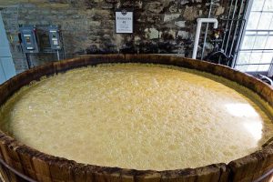 What is the primary purpose of a fermenter in the brewing process
