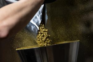 What are the benefits of dry hopping in brewing?