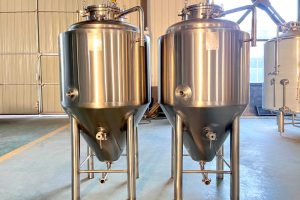 2bbl fermenter