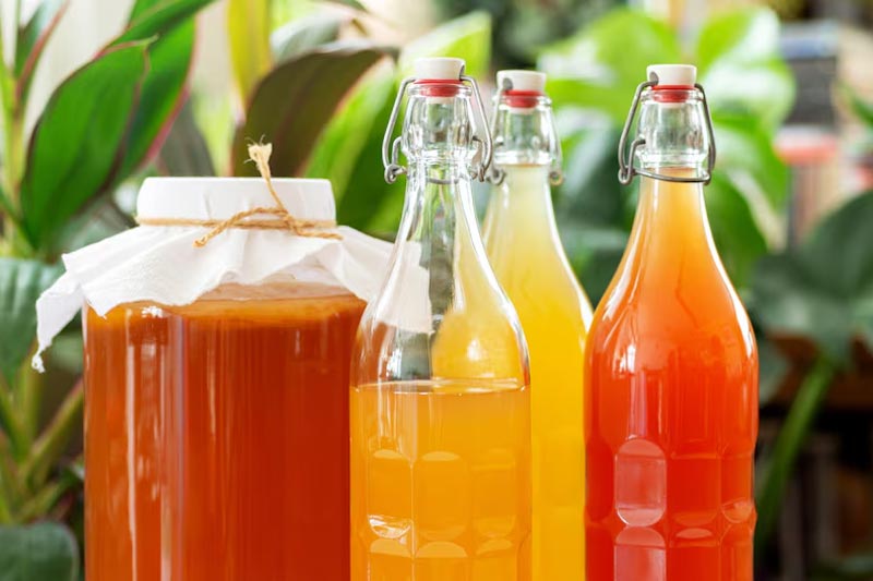 kombucha brewing equipment