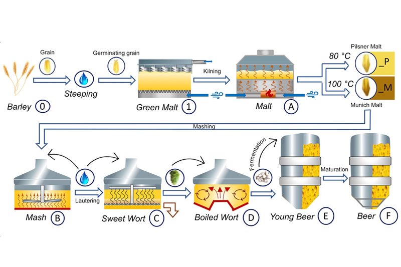 Commercial Brewing Systems: Types, Budgets, and How to Choose