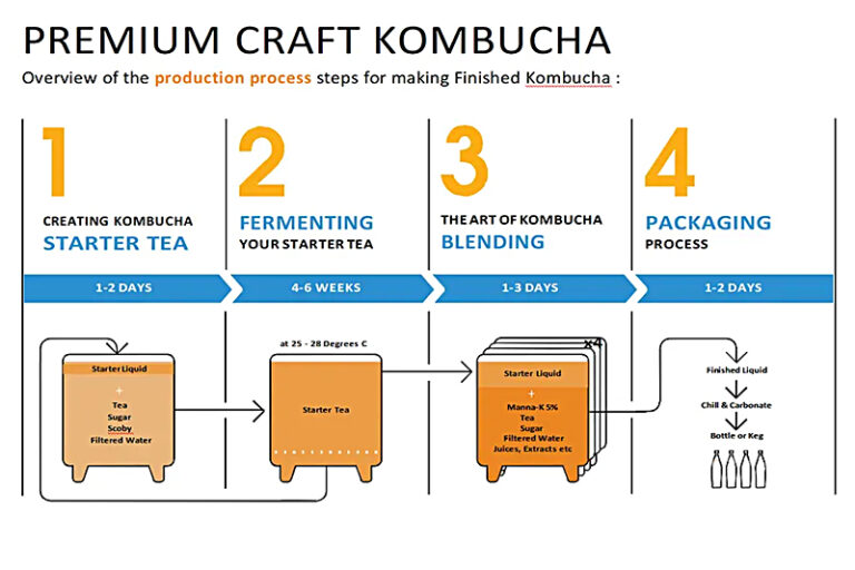 kombucha brewing equipment